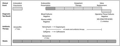 Case Report: Comparison of Plasma Metagenomics to Bacterial PCR in a Case of Prosthetic Valve Endocarditis